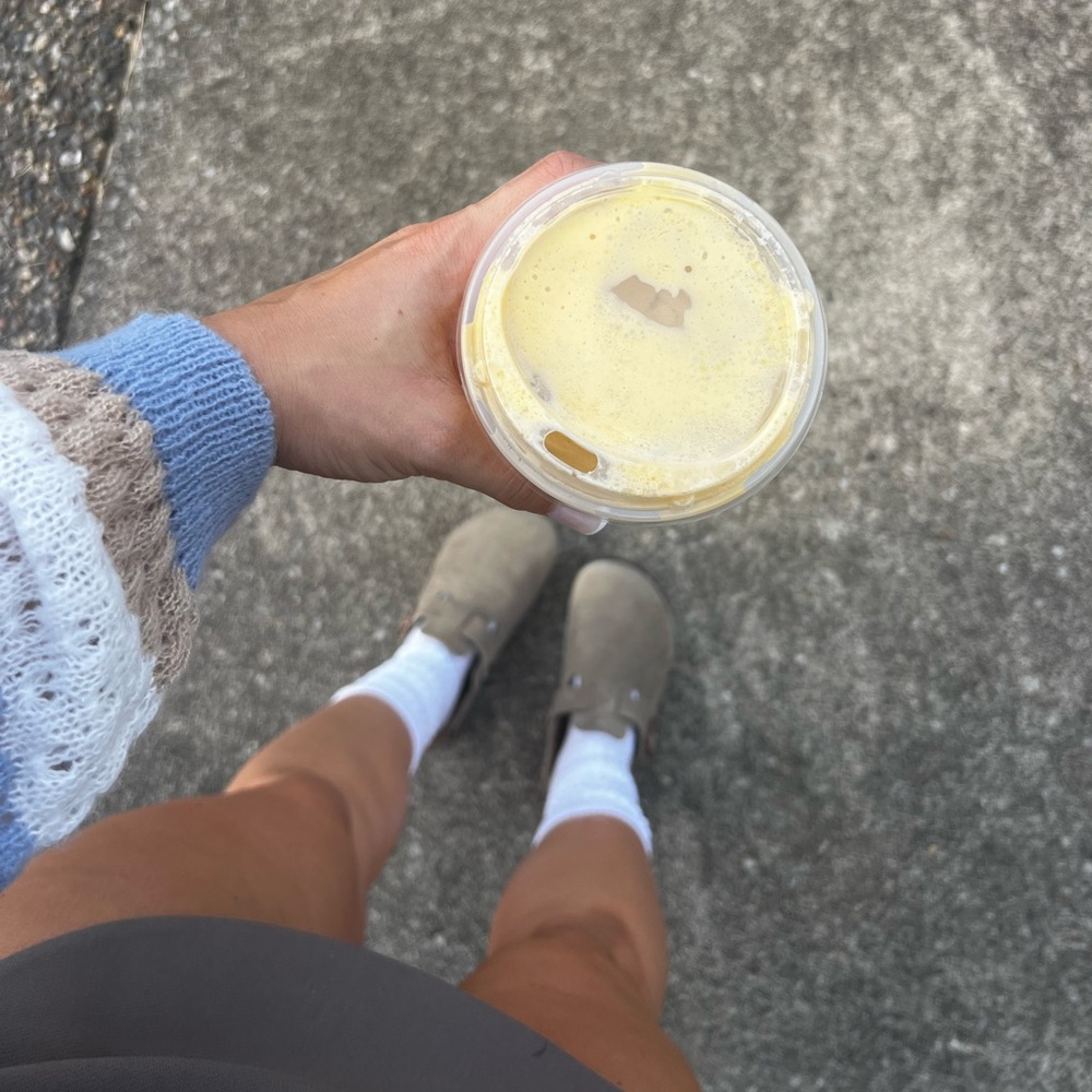 Knit Sweater Pant